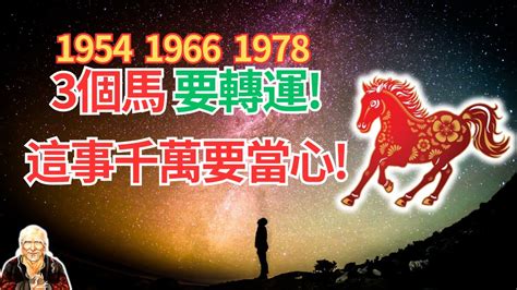 1966生肖馬